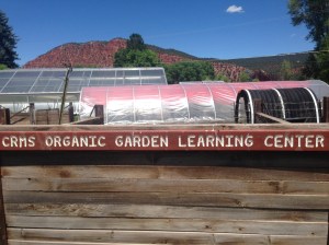 The organic garden